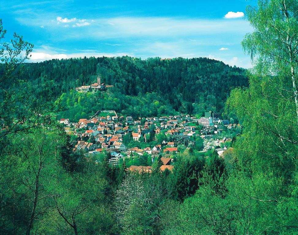 Hotel Hochwald バート・リーベンツェル 部屋 写真